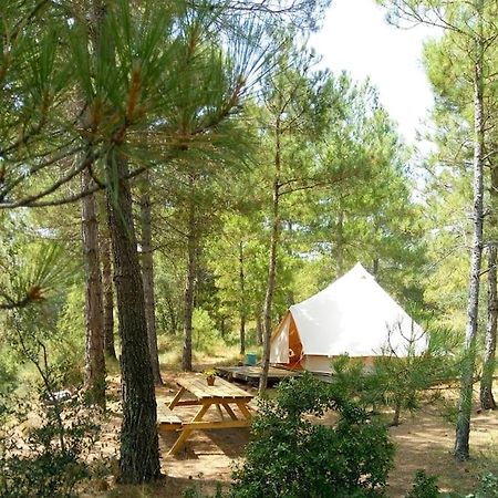 Forest Days Navés Dış mekan fotoğraf