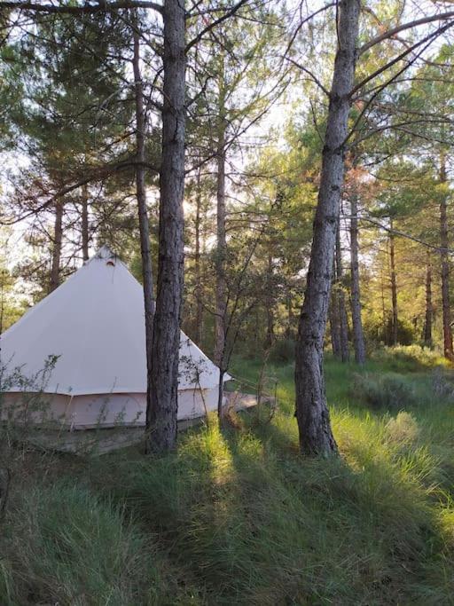 Forest Days Navés Dış mekan fotoğraf