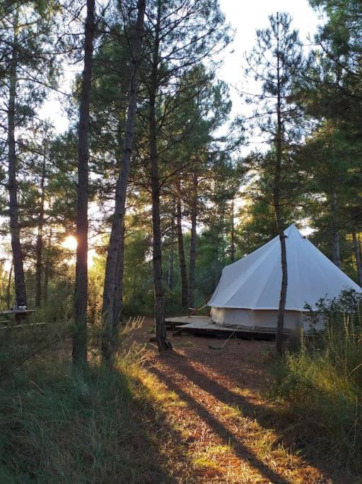 Forest Days Navés Dış mekan fotoğraf