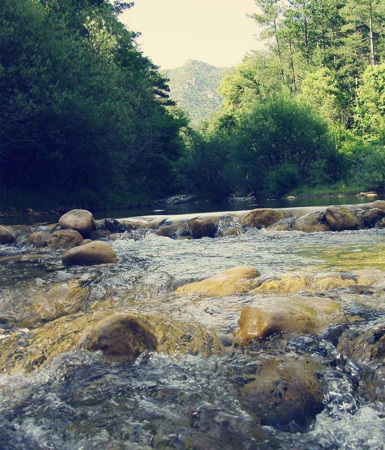 Forest Days Navés Dış mekan fotoğraf