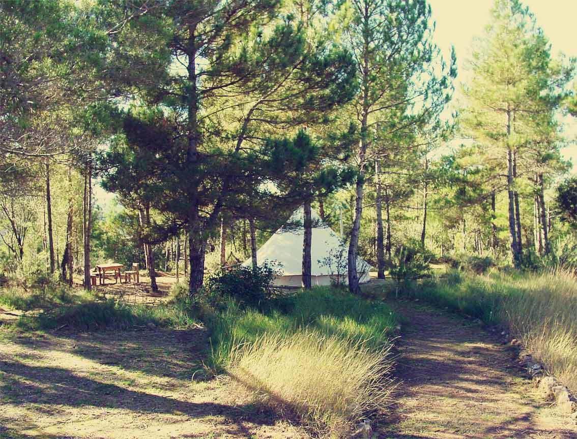 Forest Days Navés Dış mekan fotoğraf